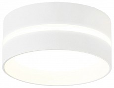 Накладной светильник Ambrella Light TN TN5388