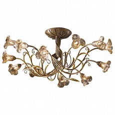 Потолочная люстра Odeon Light Aura 1814/12