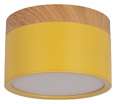 Накладной светильник Loft it Grape 10162 Yellow