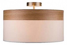 Светильник на штанге Globo Chipsy 15221D