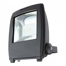 Настенный прожектор Globo Projecteur I 34222