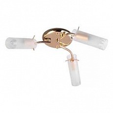 Потолочная люстра TopLight Brittany TL7130X-03FG