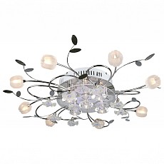 Потолочная люстра Omnilux OML-161 OML-16107-13