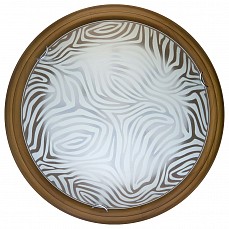 Накладной светильник TopLight Agatha TL9260Y-00OA