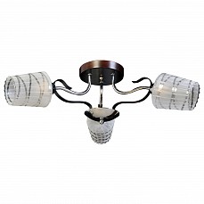 Потолочная люстра SilverLight Kin 224.59.3