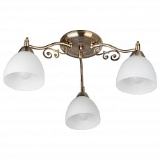 Потолочная люстра TopLight Lora TL7371X-03AB