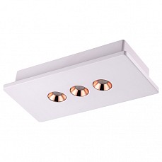 Накладной светильник Novotech Caro 357940