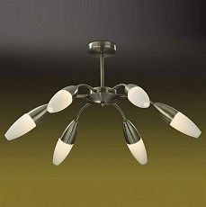 Люстра на штанге Odeon Light Chikko 2013/6C