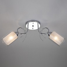 Светильник на штанге Eurosvet Renee 30122/2 хром