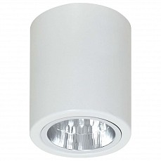 Накладной светильник Luminex Downlight Round 7234