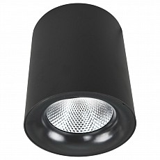 Накладной светильник Arte Lamp Facile A5112PL-1BK