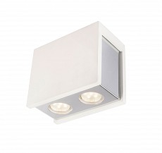 Накладной светильник Globo Christine 55010-2D