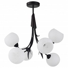 Люстра на штанге Lussole Bagheria GRLSF-6293-06