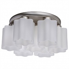 Потолочная люстра MW-Light Илоника 3 451011407