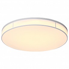 Накладной светильник ST-Luce Fella SL417.512.01