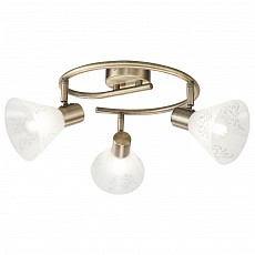 Спот Freya Paola FR7001CL-03BZ