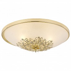 Накладной светильник Arte Lamp Collinetta A9116PL-2GO