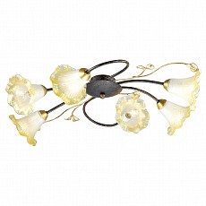 Потолочная люстра Favourite Edera 1601-6C