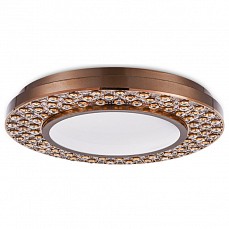 Накладной светильник Ambrella FA FA9449