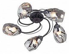 Потолочная люстра Vitaluce  V4937-1/5PL