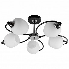 Люстра на штанге TopLight Katerina TL2770X-05WC