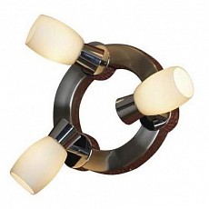 Спот Lussole Scalera LSQ-2601-03