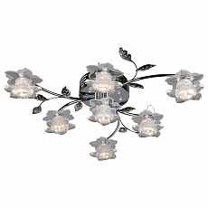 Потолочная люстра Omnilux OML-148 OML-14807-07