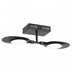 Светильник на штанге ST-Luce Farfalla SL824.401.02