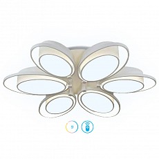 Накладной светильник Ambrella FG FG2511