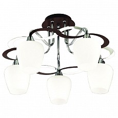 Потолочная люстра Favourite Binding 2 1279-5U