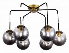 Потолочная люстра EVOLUCE Scorze SLE1097-302-06