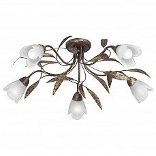 Потолочная люстра Vitaluce 3455 V3455/5PL