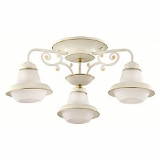 Потолочная люстра Lumion Tefida 3105/3C