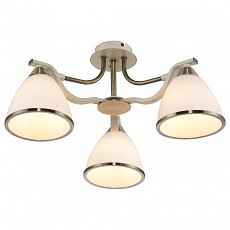 Потолочная люстра TopLight Sheena TL3670X-03AB