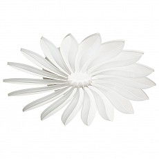 Накладной светильник Odeon Light Maya 4174/86CL