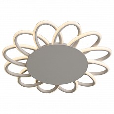 Потолочная люстра ST-Luce Camomilla SL828.502.12