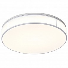 Накладной светильник ST-Luce Fella SL417.502.01