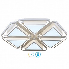 Накладной светильник Ambrella FG FG2501