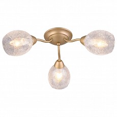 Потолочная люстра Omnilux Miglionico OML-55507-03