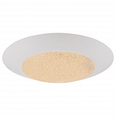 Накладной светильник Globo Mio 49002-24