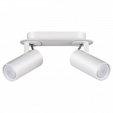 Спот Odeon Light Corse 3873/2C