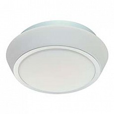 Накладной светильник ST-Luce Bango SL496.502.02