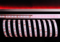 Лента светодиодная Deko-Light  840219