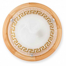 Накладной светильник TopLight Gien TL9173Y-02PN
