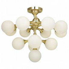 Потолочная люстра Maytoni Proton MOD021CL-13G