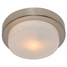 Накладной светильник Arte Lamp Aqua A8510PL-1SS