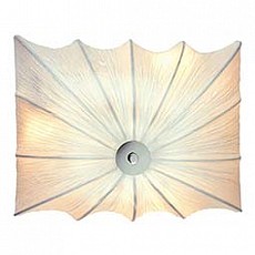 Накладной светильник ST-Luce Tela SL356.501.03