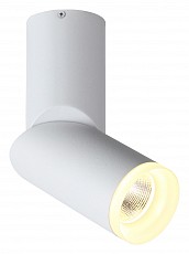 Светильник на штанге ST-Luce Tortelle ST107.502.10