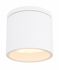 Накладной светильник Globo Alcala 32063W