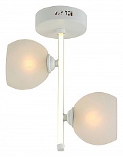 Светильник на штанге Hiper Carmona H805-2